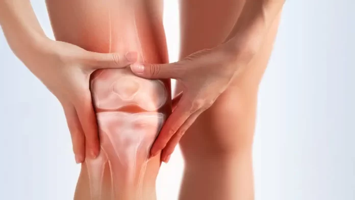 Knee