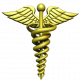 caduceus png 8