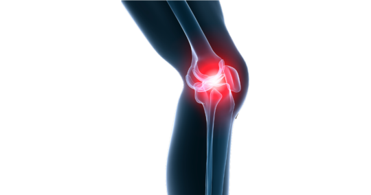 Lésion du Genou : Focus sur le Point d’Angle Postéro-Externe - OsteoMag