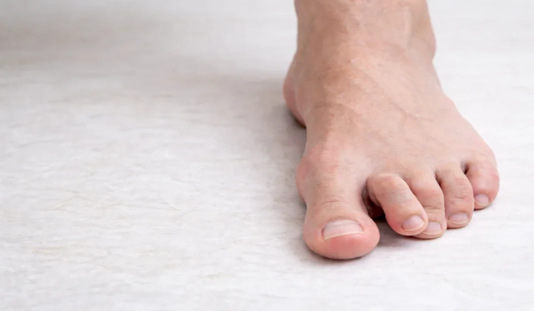 ChatGPT Image Feb 22, 2026, 08_40_42 AM