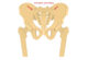 sacroiliac-joint