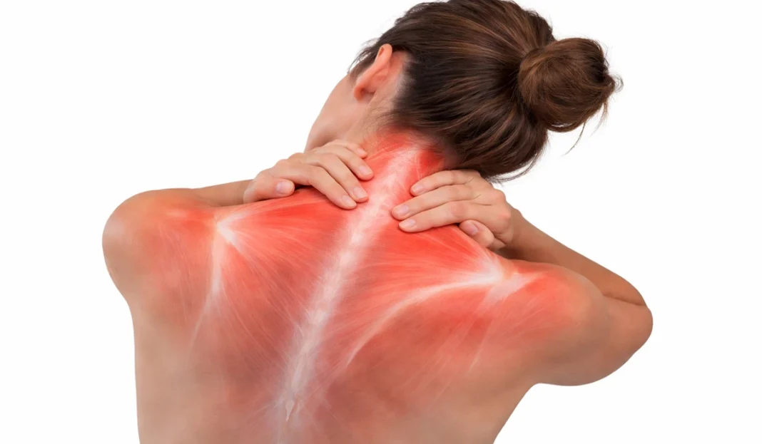 ChatGPT Image Feb 21, 2026, 10_36_22 PM