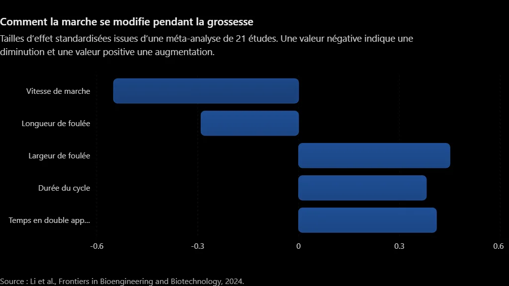 Graphique des tailles d’effet moyennes sur la marche pendant la grossesse : vitesse et longueur réduites, largeur et double appui augmentés.