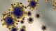 Coronavirus-Expert-QA-1600×836-1