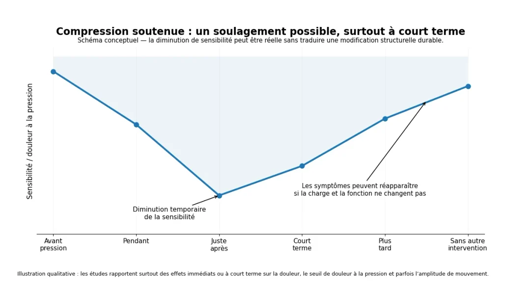 Schéma qualitatif d’une sensibilité pouvant diminuer temporairement puis réapparaître après une pression soutenue.