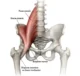 Iliopsoas-Treatment-Of-Hip-Back-Pain-in-Malaysia-1-1