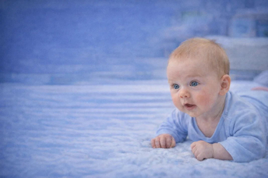 ChatGPT Image Feb 18, 2026, 02_43_22 AM