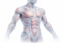The Role of Fascia in Chronic Pain and How Osteopathy Can Help