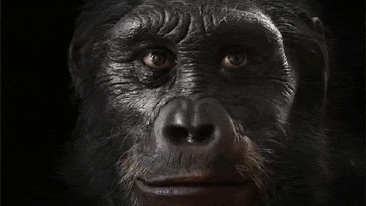 dd4a0c3eb6d53f6325a2592ee7510eeb-ezgif.com-resize-1-1