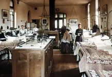 Ostéopathie au XIXe siècle : origines et contexte médical