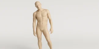 Mannequin illustrant un décalage possible du tronc