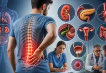 Douleur abdominale ou lombaire : quand l’ostéopathe doit-il penser à autre chose qu’un problème mécanique ? Douleur abdominale ou lombaire : quand l’ostéopathe doit-il penser à autre chose qu’un problème mécanique ?
