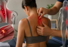 Points gâchettes : sont-ils réellement des « nœuds » dans le muscle ? Points gâchettes : sont-ils réellement des « nœuds » dans le muscle ?