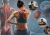 Pourquoi un muscle peut sembler tendu alors qu’il n’est pas réellement raccourci Pourquoi un muscle peut sembler tendu alors qu’il n’est pas réellement raccourci