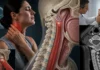Tendinite calcifiante aiguë du muscle long du cou : une cause rare de douleur cervicale avec dysphagie