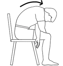 Dessin d’une personne assise arrondissant doucement le haut du dos.
