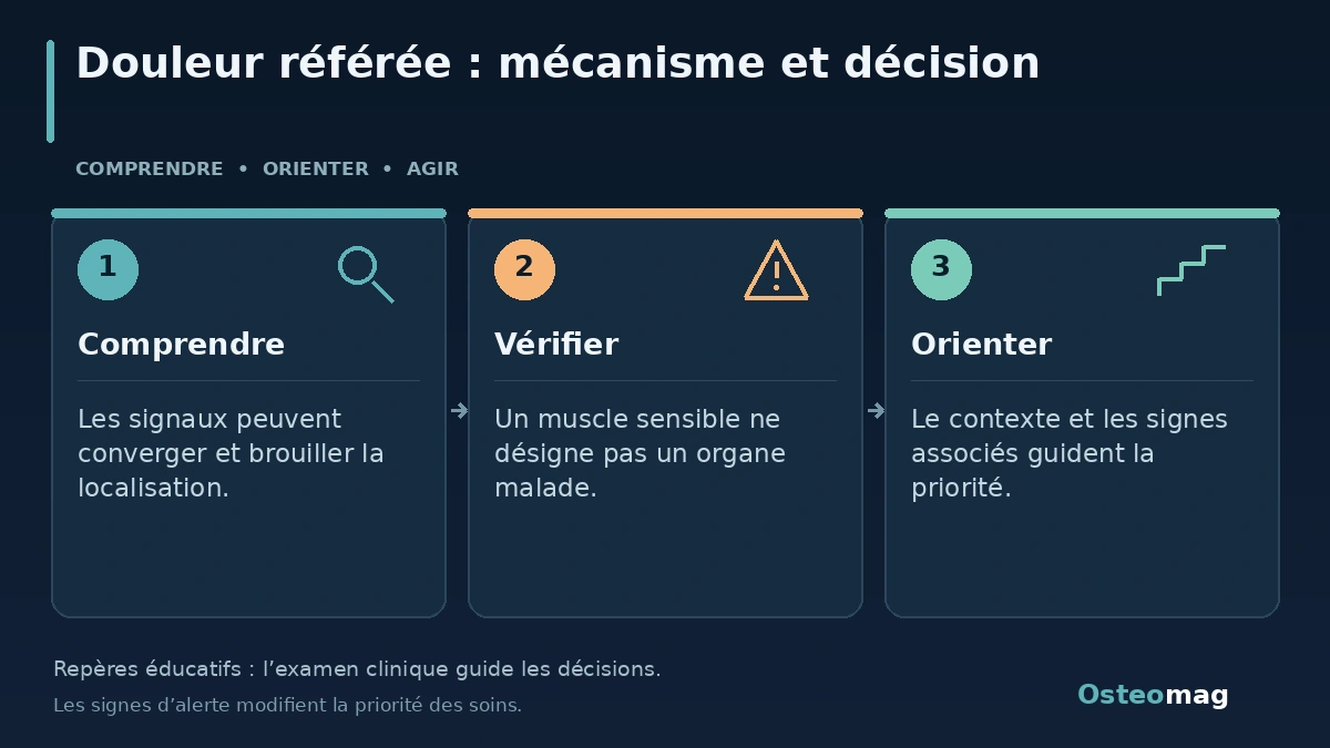 Douleur référée : mécanisme et décision : Comprendre ; Vérifier ; Orienter