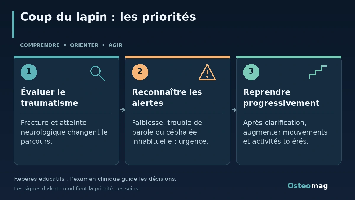 Coup du lapin : les priorités : Évaluer le traumatisme ; Reconnaître les alertes ; Reprendre progressivement