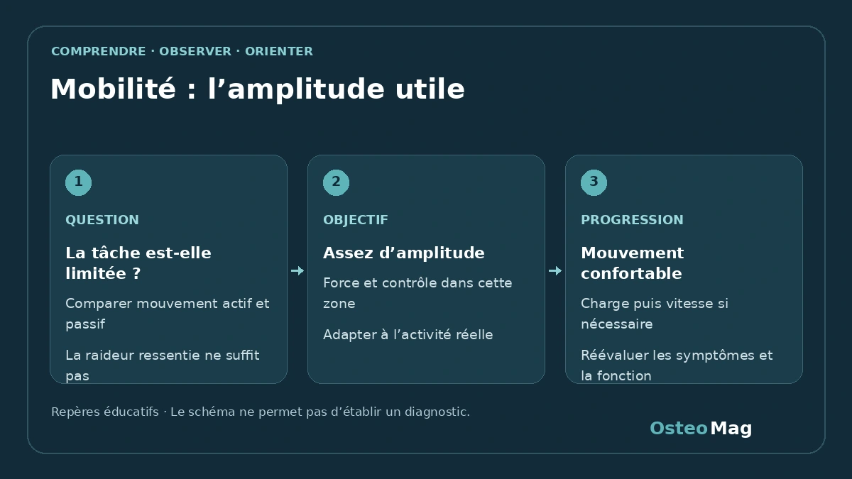 Mobilité : l’amplitude utile : repères anatomiques ou fonctionnels, symptômes et orientation