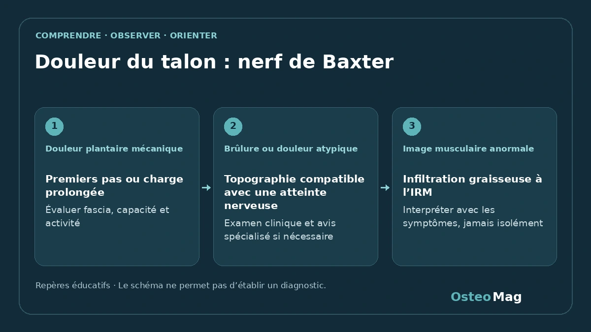 Schéma de repères : douleur du talon : nerf de baxter