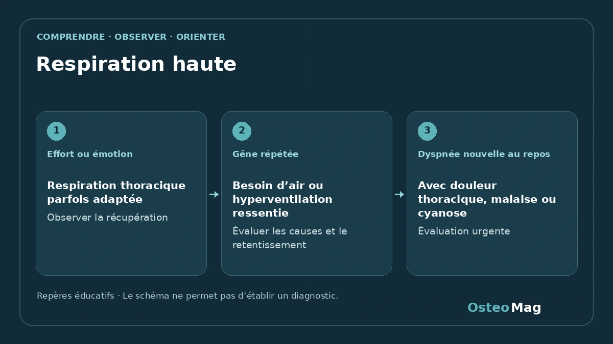 Schéma de repères : respiration haute