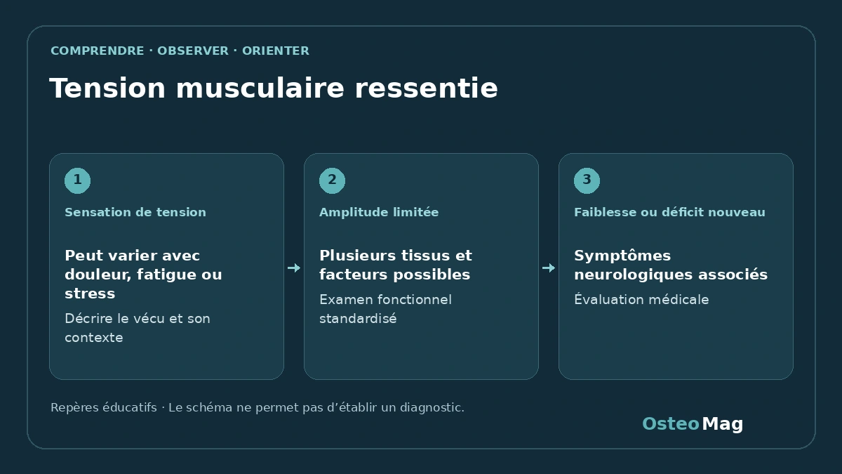 Schéma de repères : tension musculaire ressentie