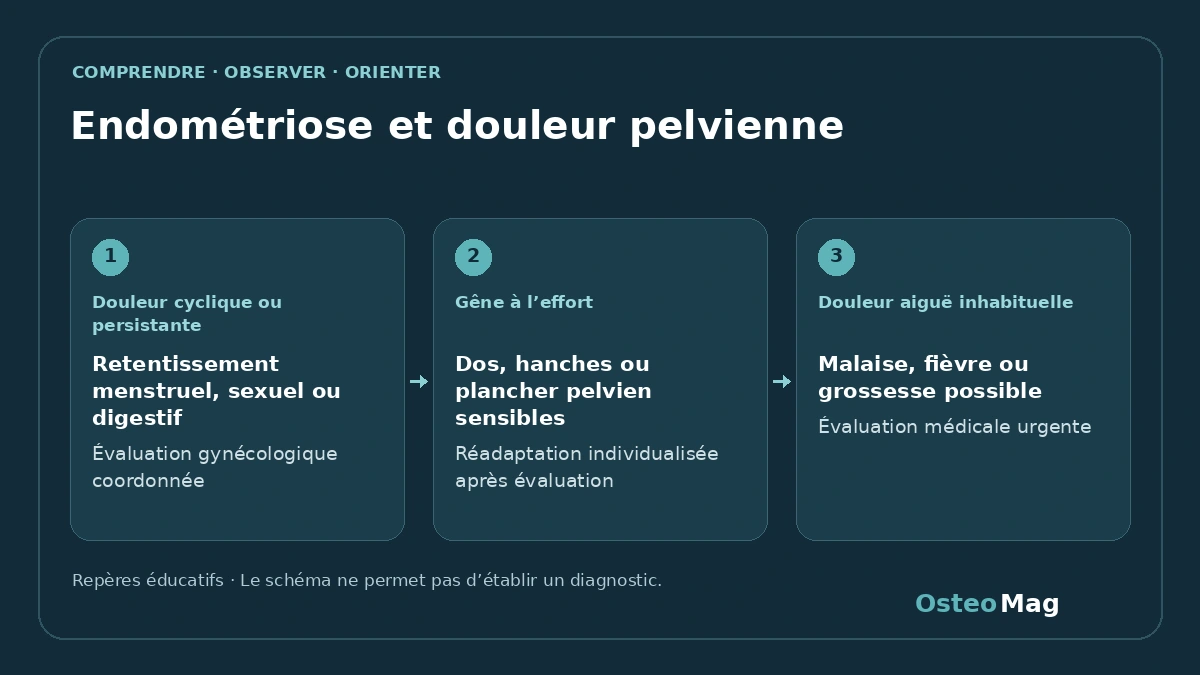 Schéma de repères : endométriose et douleur pelvienne