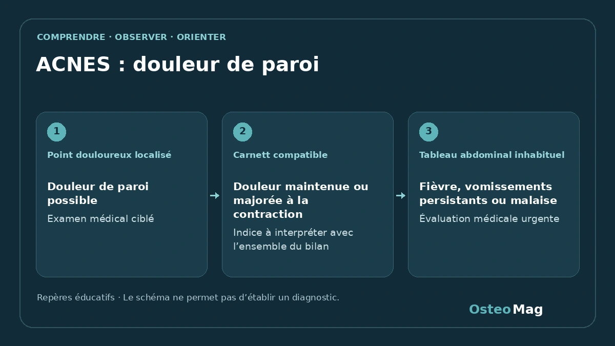Schéma de repères : acnes : douleur de paroi