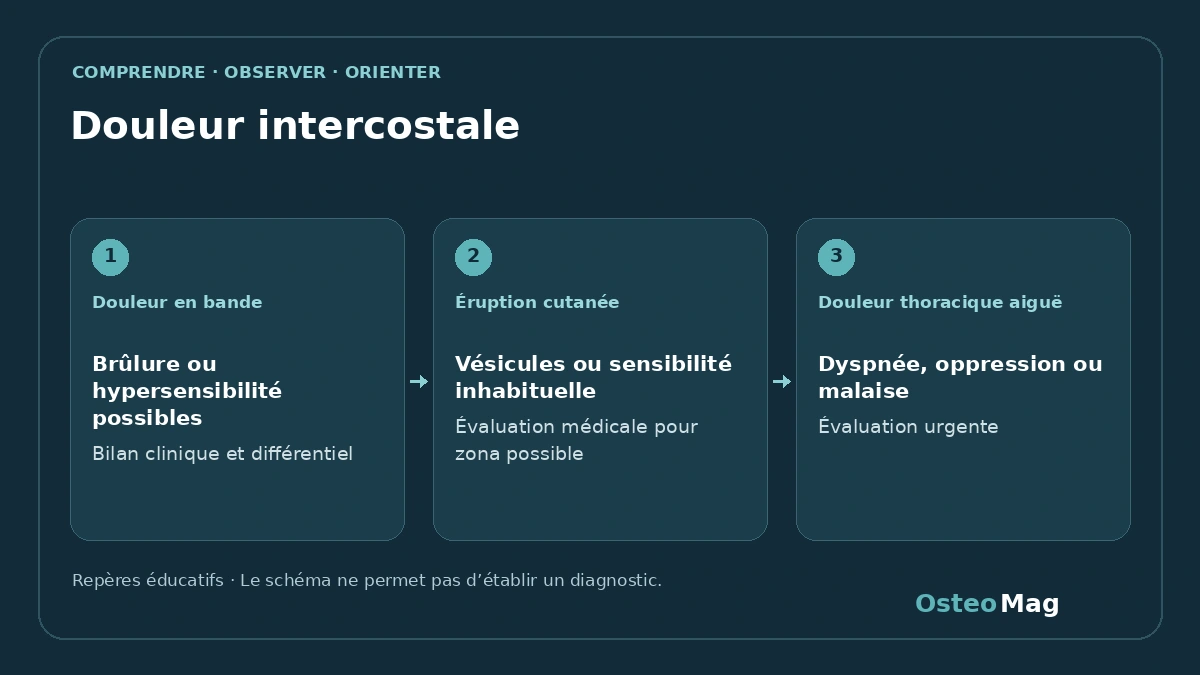 Schéma de repères : douleur intercostale